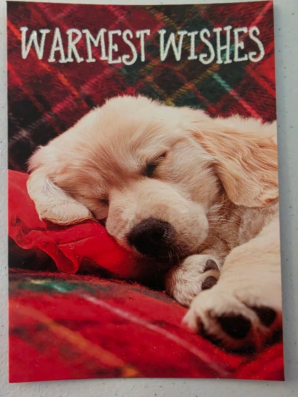 New Christmas cards 8 cards/8 envelopes (7" x 5")